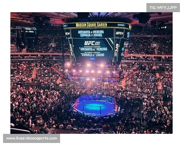 UFC 322现场：麦迪逊花园广场观众热情高涨，格斗氛围浓厚